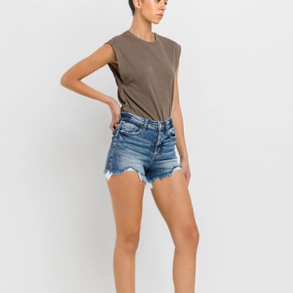 VERVET BY FLYING MONKEY Denim - 24. Vervet High Rise Denim Shorts